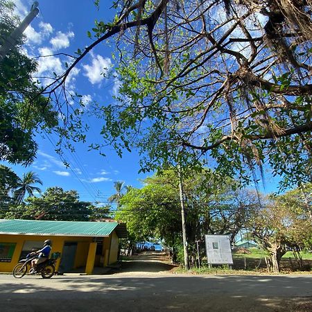 Cabinas Surf Arribadas Ostional Wildlife Refuge Bagian luar foto