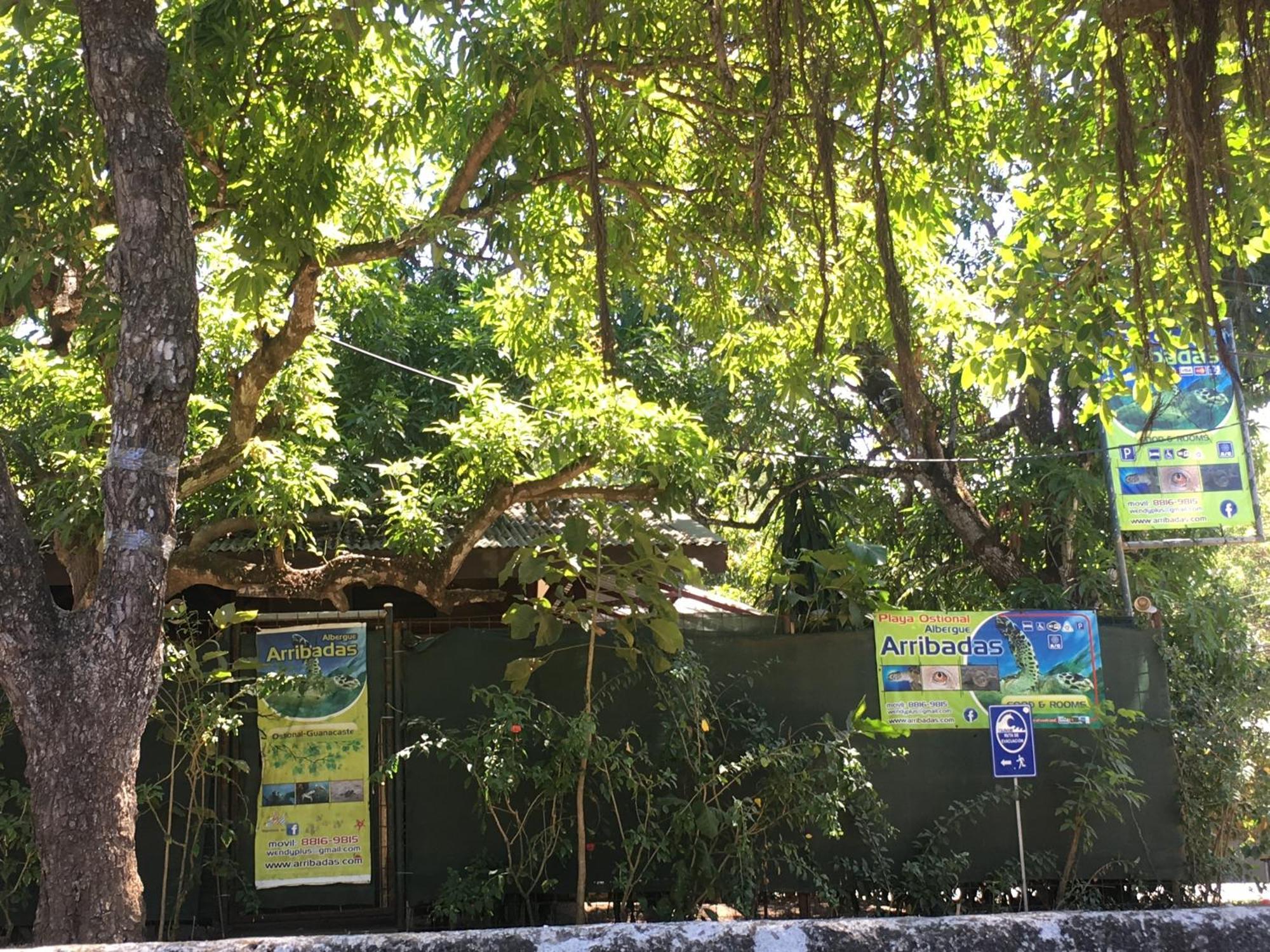 Cabinas Surf Arribadas Ostional Wildlife Refuge Bagian luar foto