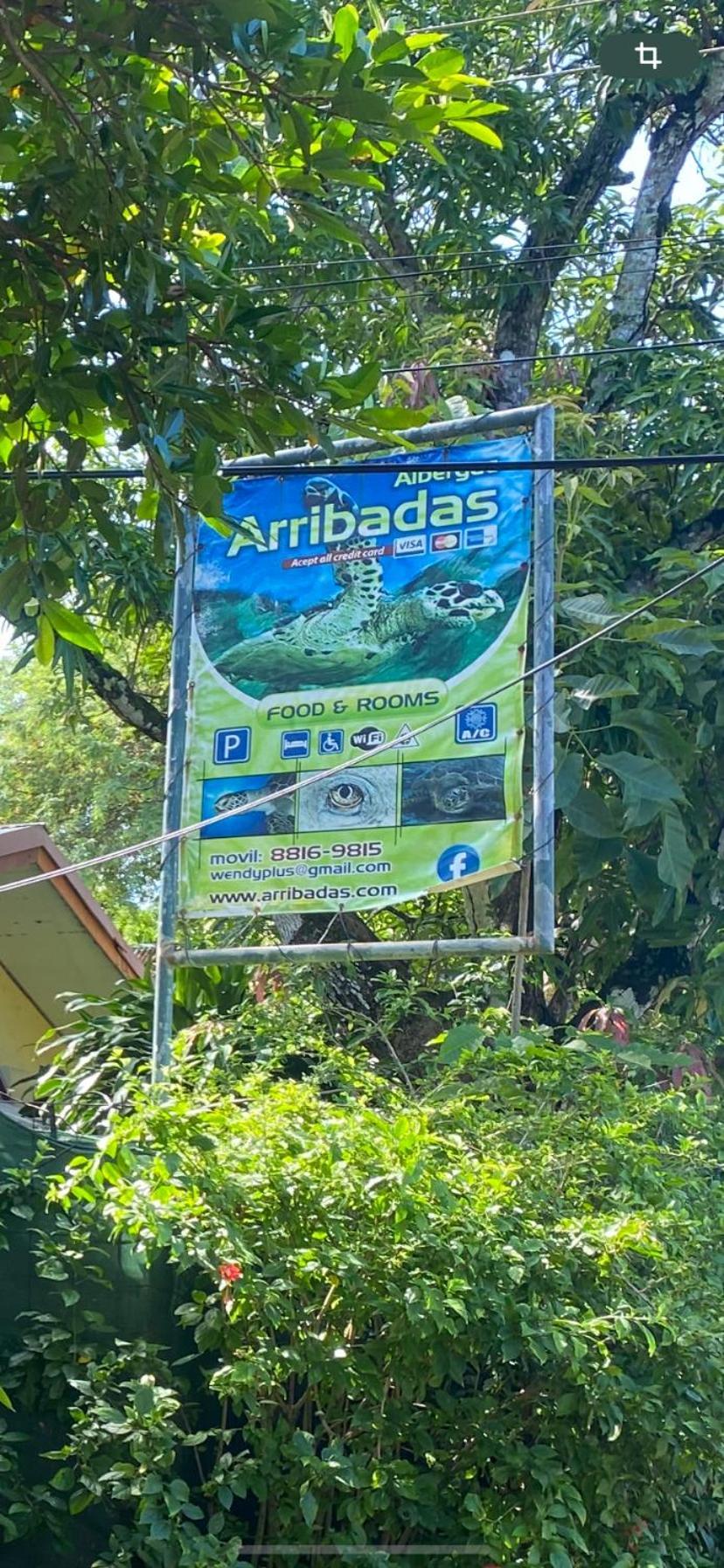 Cabinas Surf Arribadas Ostional Wildlife Refuge Bagian luar foto