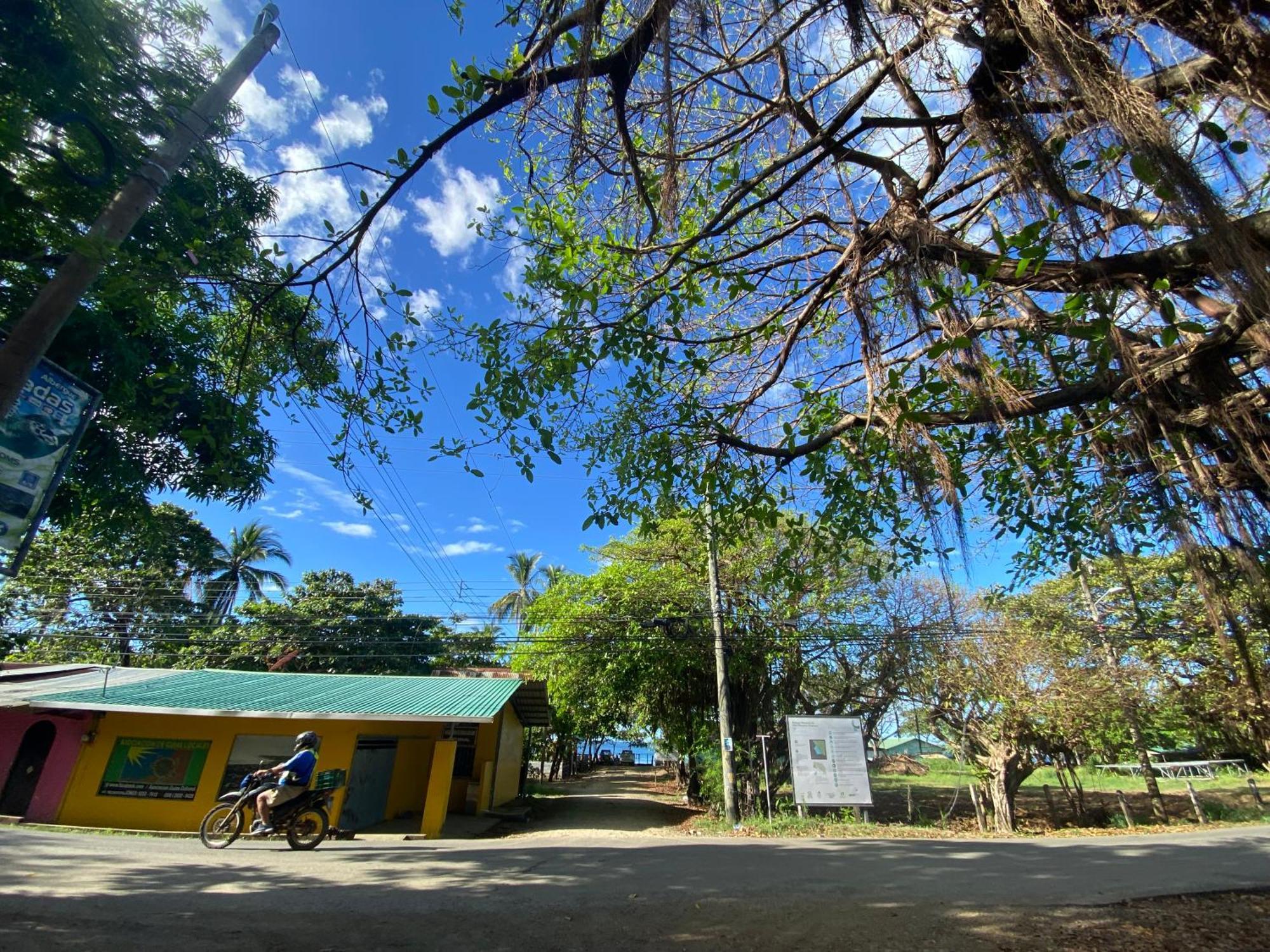 Cabinas Surf Arribadas Ostional Wildlife Refuge Bagian luar foto