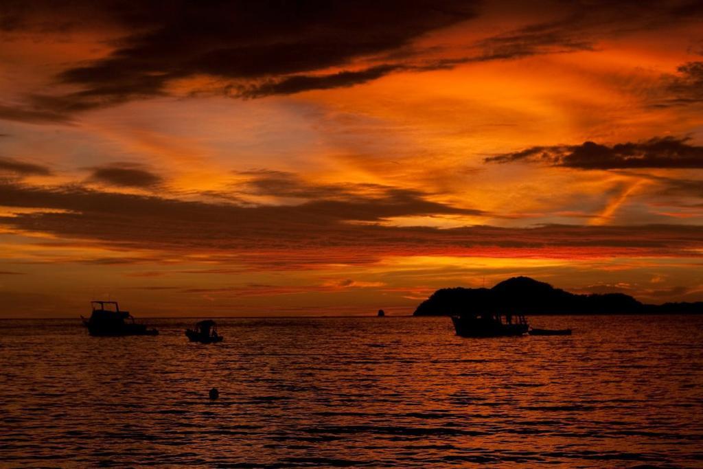 Cabinas Surf Arribadas Ostional Wildlife Refuge Bagian luar foto