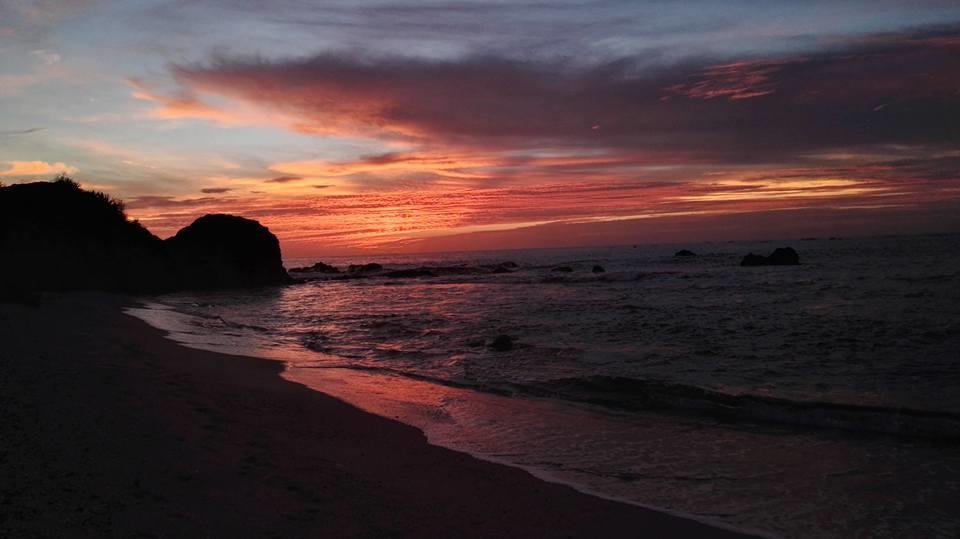 Cabinas Surf Arribadas Ostional Wildlife Refuge Bagian luar foto