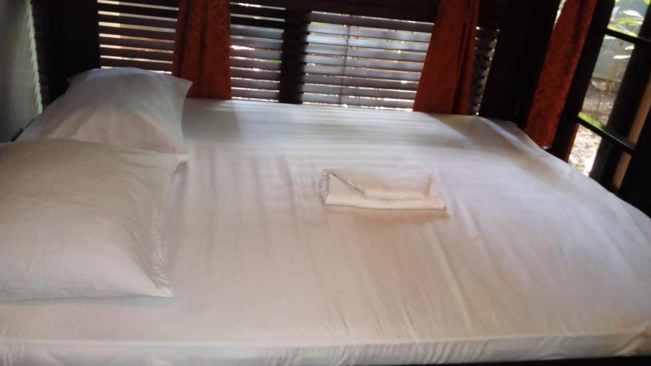 Cabinas Surf Arribadas Ostional Wildlife Refuge Bagian luar foto